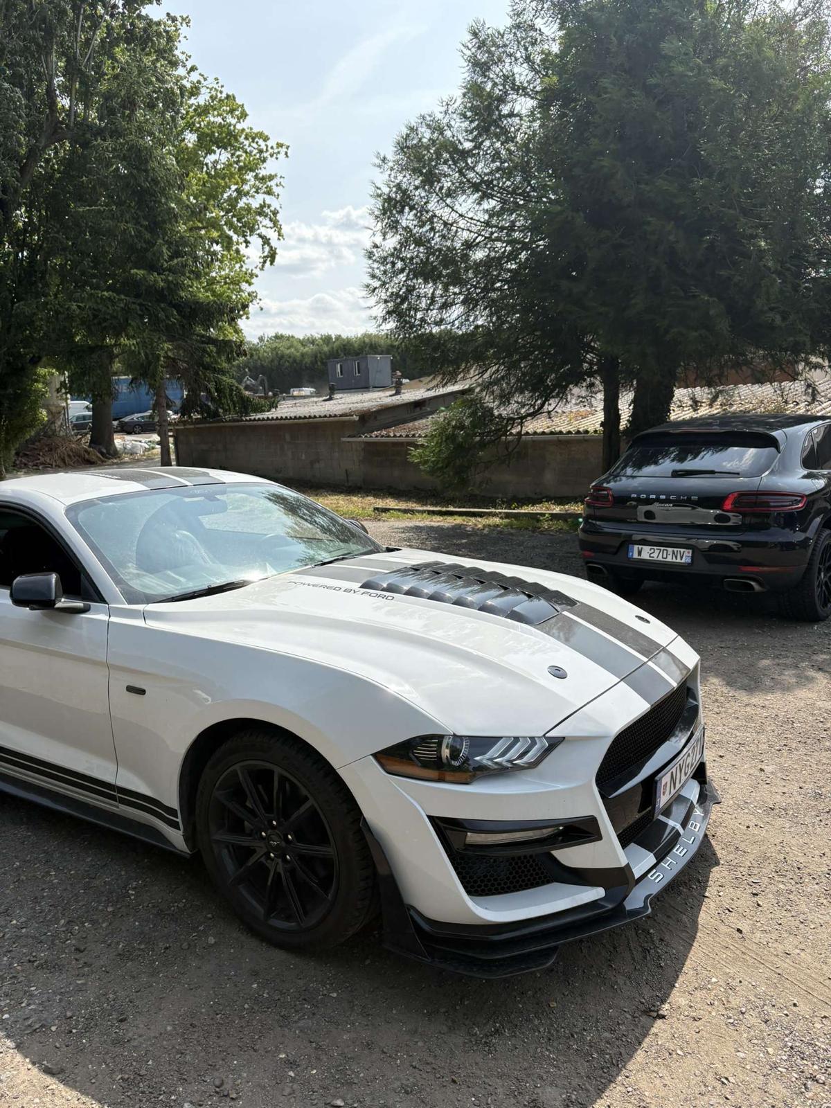 Client SS CARS - Client 13