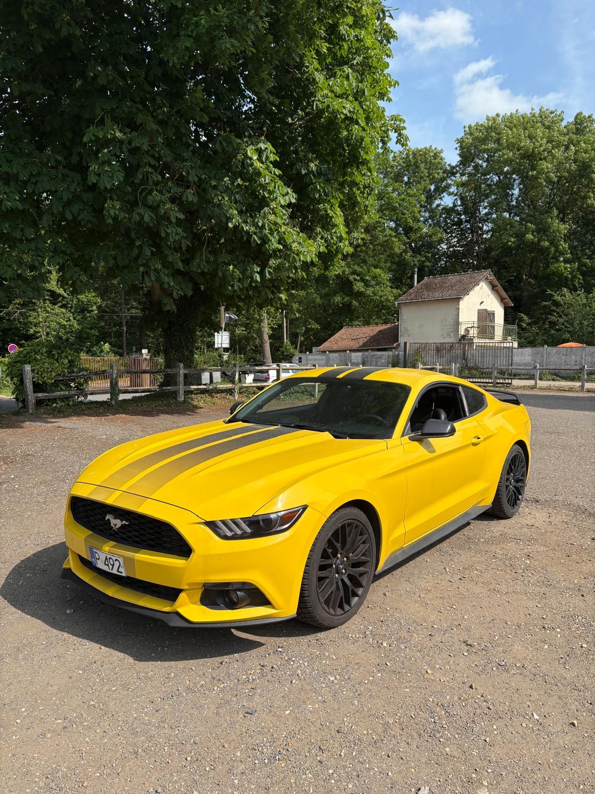 Client SS CARS - Client 6